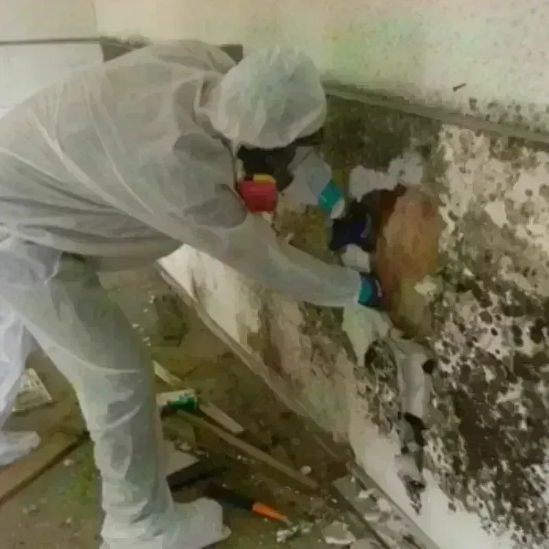 Best Mold Remediation and Removal Service in Hubbardston, MA